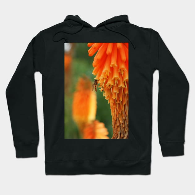 hoverfly in blossom Hoodie by Cheesybee